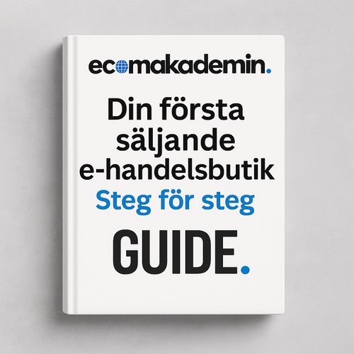 Droppshipping Steg-för-Steg Guide